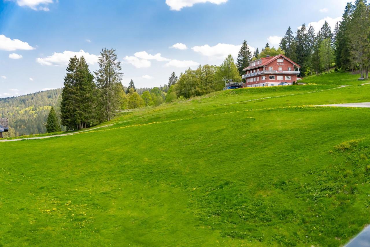 Auerhuhn Lejlighed Feldberg  Eksteriør billede
